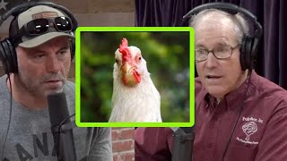 Joel Salatin Ending Monocrops Repurposing Waste and Feeding Millions [upl. by Gruchot516]