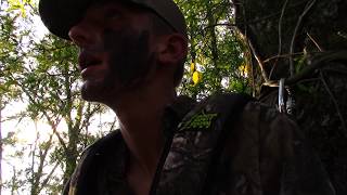 2017 Opening day bow season Doe and hog kills [upl. by Ardnak]