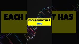 Punnett squares illustrate genetic crosses [upl. by Aneloj251]