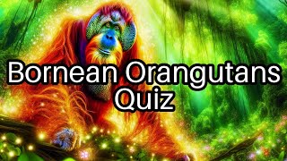 Are You an Orangutan Expert 🦧 Take This Fun Bornean Quiz and Find Out [upl. by Eelrefinnej]