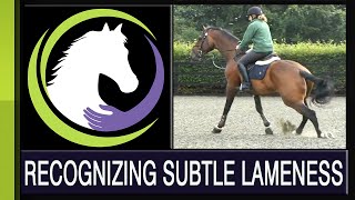 Recognizing Subtle Lameness [upl. by Cadal]