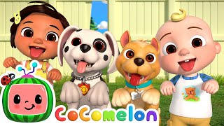 Puppy Play Date  CoComelon Nursery Rhymes amp Kids Songs [upl. by Noach]