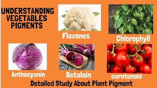 Understanding Vegetable Pigment  ihm notes  Importance of Vegetable Pigments For A Chef in cookery [upl. by Barber]