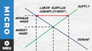 Price Floors The Minimum Wage [upl. by Atnek503]