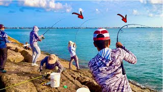 This Only Happens ONCE A YEAR Jetty Fishing [upl. by Ynelram]