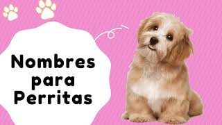 🐕Hermosos nombres para Perritas 🐕 [upl. by Wetzell]