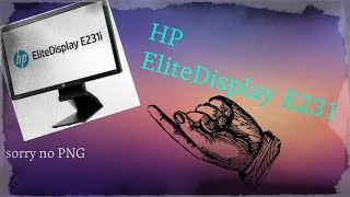 HP EliteDisplay E231 Review  After 1 Month  Amazing deal Read DescriptionComments [upl. by Eiba]