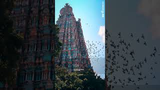 MADURAI MEENAKSHI AMMAN WHATSAPP STATUS TAMILAAYIRAM KAI UNDENDRALTAMIL DEVOTIONAL BEATS [upl. by Ettevi621]