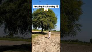 Amazing bat hunting 🦇😱 birds birdhunting hunting shorts trendingshorts youtubeshorts [upl. by Koch881]