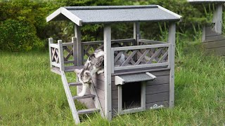 Wooden Cat House with Waterproof Roof and BalconyAivituvinAIR09B [upl. by Artened893]