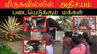 யாழ் மிருசுவில்லில் அதிசயம் படையெடுக்கும் மக்கள் jaffna mirusuvil [upl. by Etnomed]