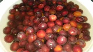 Fragrant cherry plum compote for winter [upl. by Duwalt]