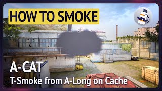 ☁️ How to smoke ACat on Cache TSide CSGO [upl. by Hulton764]