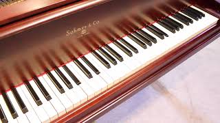 1907 Sohmer Baby Grand Your Song [upl. by Ahsenyl]