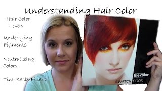 Understanding Hair Color●Levels●Underlying Pigments●Neutralizing●TintBacksFillers [upl. by Shelba]