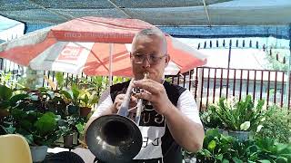 YOURE MY WORLD  Tom Jones Trumpet cover [upl. by Gnaw414]