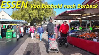 Stadt Essen walking 4K  Von Bochold nach Borbeck Herbst 2024 [upl. by Gerbold]