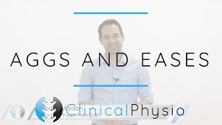 Aggravating and Easing Factors  Clinical Physio Premium [upl. by Ardnaik168]