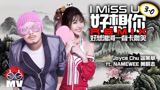 好想你霸氣中國風REMIX 30 好想滄海一聲卡農笑  Joyce Chu 四葉草 ft NAMEWEE 黃明志 [upl. by Brockie]