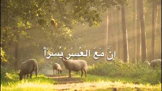 surah alam nashrah  Surah al inshirah Quran recitationbeautiful voice [upl. by Ecargyram]