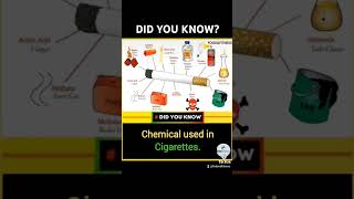 quotShocking Chemicals in Cigarettes 🚬 What Are You Really Inhalingquot QuitSmoking shorts stop uk [upl. by Adnima]