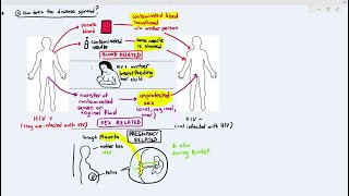 103 HIV Part 1 Cambridge AS A Level Biology 9700 [upl. by Kirsteni]