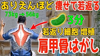 【3分ダイエット 】1時間歩くより座って3分！『肩甲骨剥がし』で勝手にリンパ内臓洗浄なり若返り内臓脂肪・中性脂肪も減って【頭痛・ストレートネック・五十肩・ばね指・腱鞘炎・首肩コリも解消】 [upl. by Aldus]