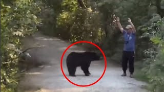 Man Tries to Scare Away Black Bear Instantly Regrets it [upl. by Hendry]