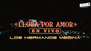 Llora Por Amor En Vivo Cali  Los Hermanos Medina  Video En Vivo [upl. by Gautea341]