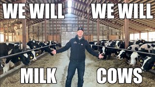 We Will Milk Cows We Will Rock You Parody [upl. by Blim]