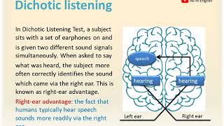 language and the brain 2 aphasia شرح بالعربي لغة قسم اللغةالانكليزية [upl. by Cora]