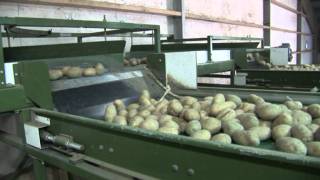 Schouten Agri Sorting Solutions  Sorteerlijn TexelSun [upl. by Werby611]