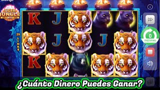 Tiger Jungle Tragamonedas Online GRATIS 🐯 Apuesta de 10 con Bonus ESPECIAL [upl. by Messing]