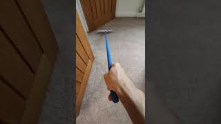 Todays raking session 🤪 carpetraking asmr bliss satisfying carpetcleaning youtubeshorts [upl. by Idoj]