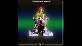 Prisma Music Library  PML 011 Sample Pack Marketplace [upl. by Fergus]