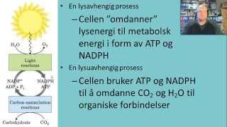 Fotosyntese Innledning [upl. by Hsirahc]