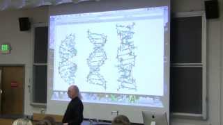 15 Biochemistry Lecture DNA Structure and Replication from Kevin Aherns BB 350 [upl. by Suiratnod]