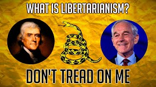 The Essentials of Libertarianism  Briefly Explained [upl. by Leunamnauj]