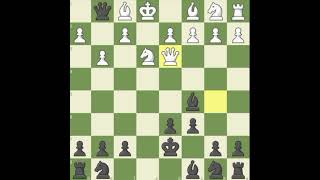 Unbelievable checkmatepawnrookbishopkingqueenknight [upl. by Vardon]