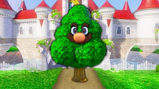 Hiding in plain sight in Mario Odyssey Hide n Seek [upl. by Peednas]