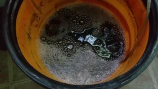 Making IMO 2 compost tea beneficial microbes EM1 [upl. by Rubma181]