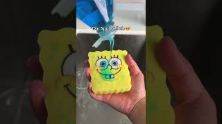 Your sponge vs our sponge [upl. by Doane396]