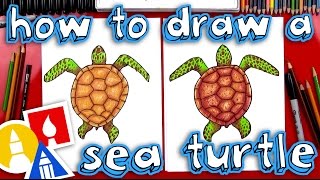 How To Draw A Realistic Sea Turtle [upl. by Quar]