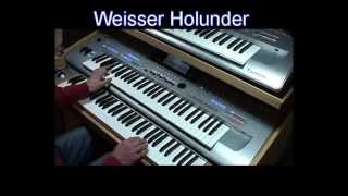 Weisser HolunderCovermpg [upl. by Singh23]