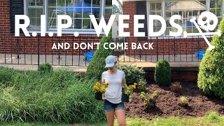 Easiest Way To Get Rid Of Weeds 🌾 Cheap💰 amp Fast🏃‍♀️💨  Crystal Does [upl. by Budde]