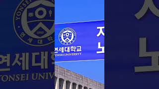 2024 autumn yonsei university yonseiuniversity seoul koreatravel [upl. by Pik]