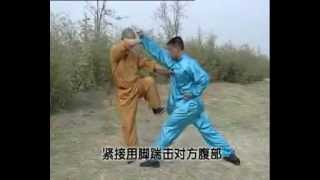 Kung Fu wu he quan fight techniques [upl. by Eanom32]