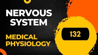 classification of Nerve Fibers 132 Sembulingam physiology [upl. by Sellers]