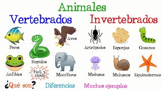 🐠Animales Vertebrados e Invertebrados🐙 Fácil y Rápido  BIOLOGÍA [upl. by Blinni112]