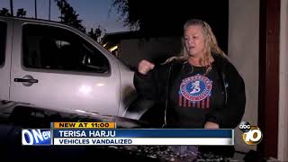 Vandal douses cars with paint thinner [upl. by Poppy253]